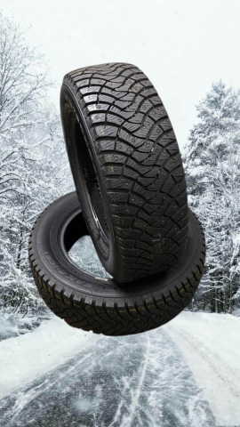 Winter studded Falken Winterpeak F-Ice 1 DEMO