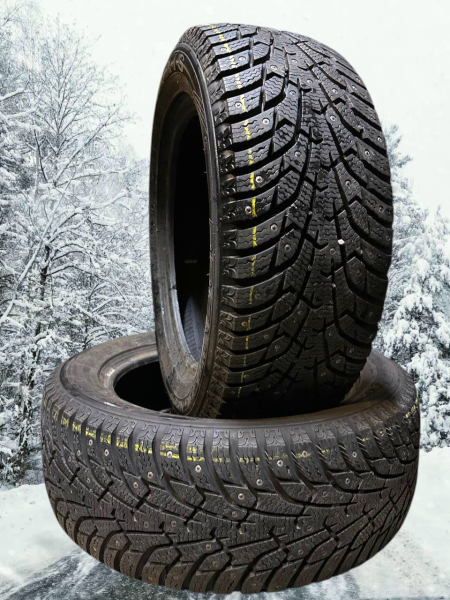 dubbdäck Maxxis Arctic Trekker NP3
